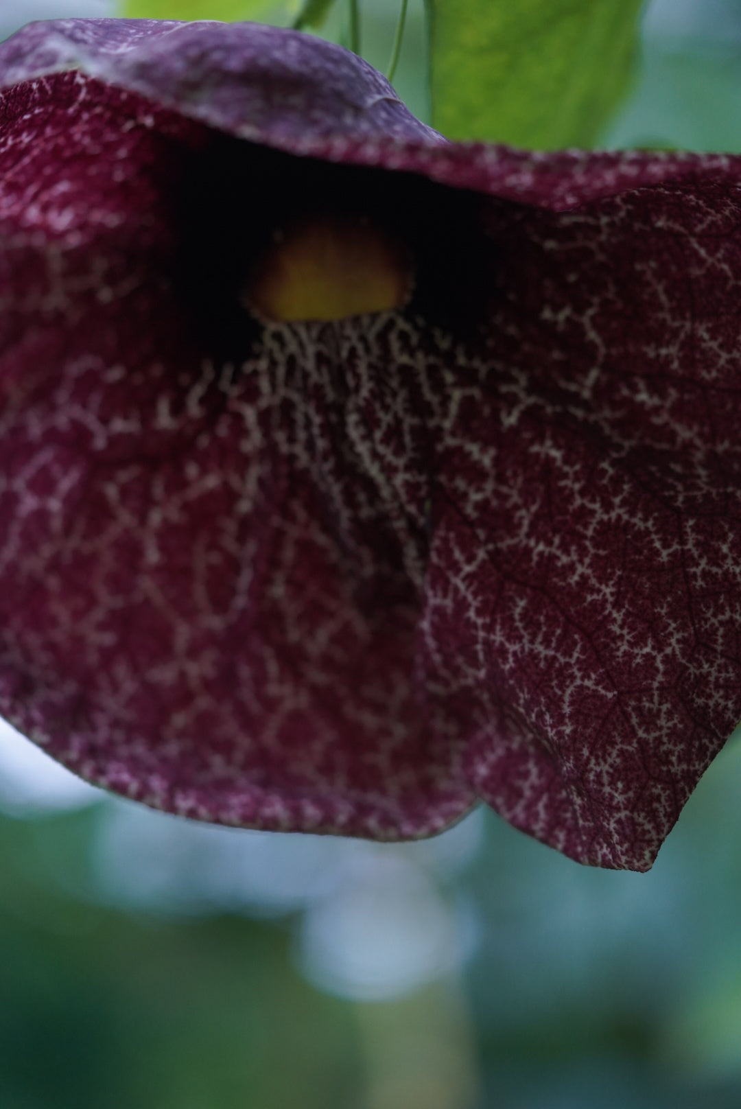 乾かしてもゴワつく理由と、柔らかく整える方法